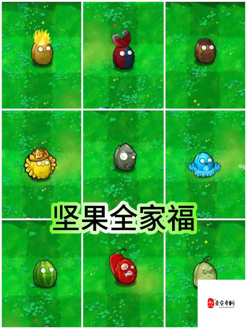 植物大战僵尸2迷宫窝瓜迷阵通关必看！这5个技巧让你秒变大佬
