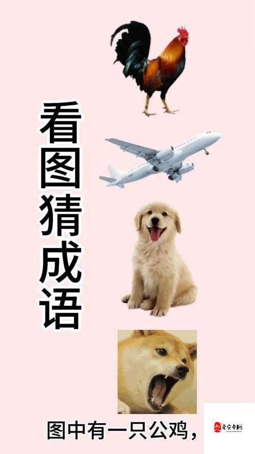 疯狂猜成语爆笑谜题！飞字+人走向太阳，答案让全场大开眼眶！
