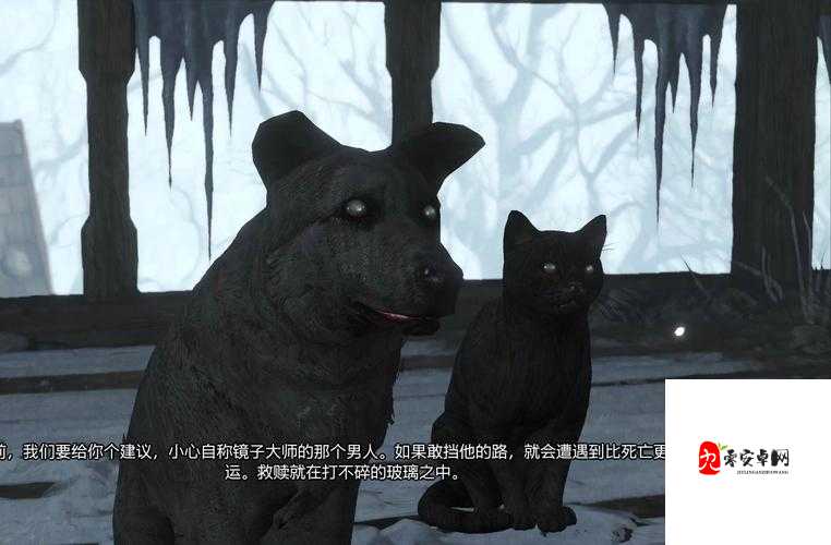 巫师3石之心找镜子任务绝了！这8个隐藏碎片救了我三小时肝秃头