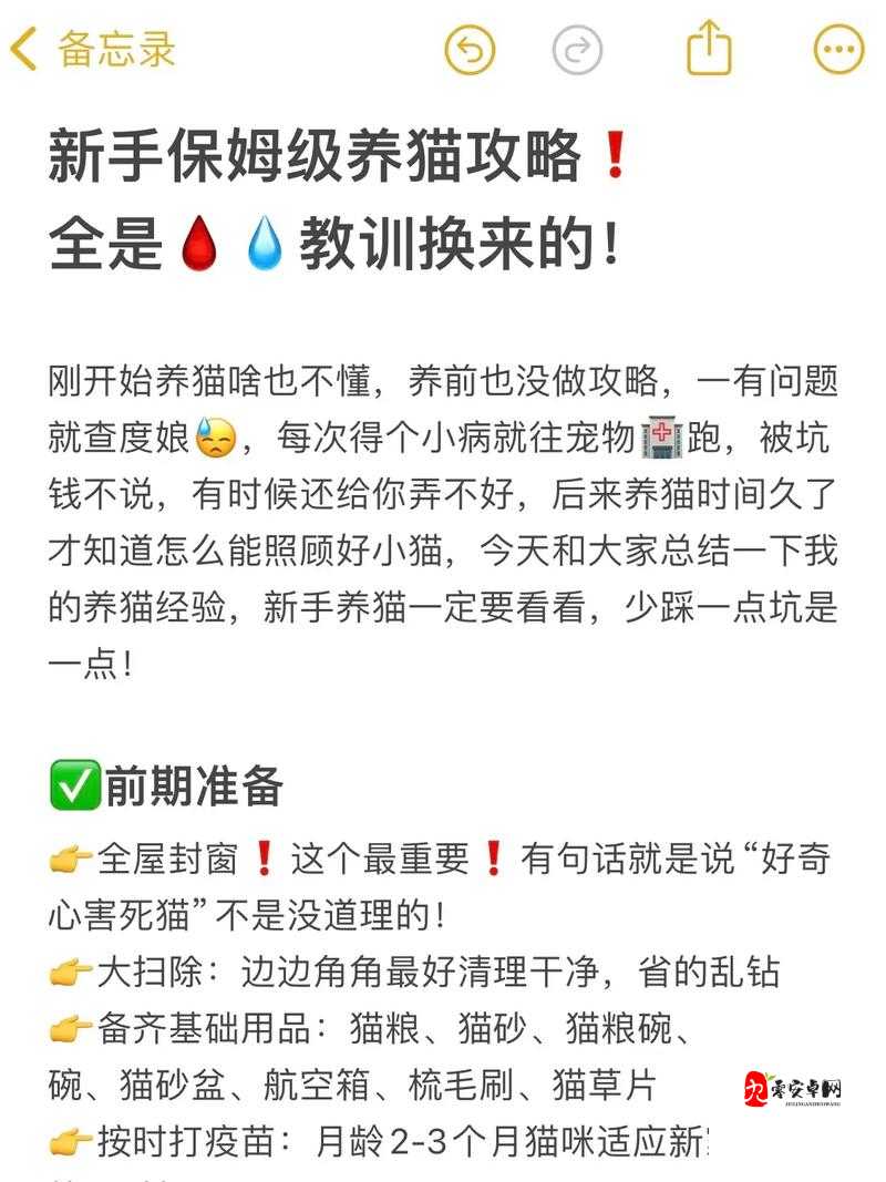 新手必看！猫射手第一关血泪经验吐露，连过30人学的保姆级攻略