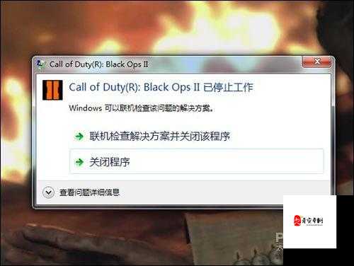 使命召唤9S组破解补丁动画卡一半崩溃？这5招让你秒修复！