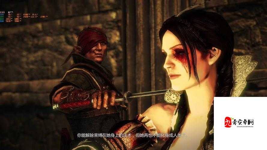 巫师2MOD入门必看！5步解锁绝美幻境的隐藏技巧