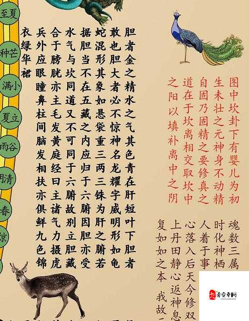 凡人修真2经脉修炼必看！3天突破气海的速通秘籍大公开